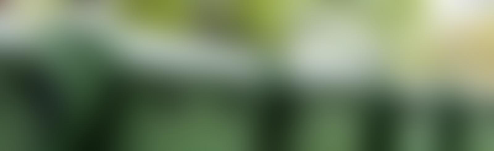 Houston Junk Removal Pricing